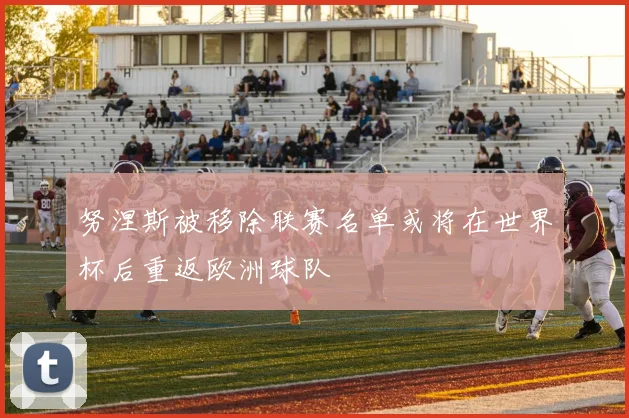 努涅斯被移除联赛名单或将在世界杯后重返欧洲球队