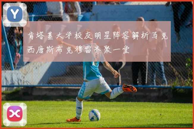 肯塔基大学校友明星阵容解析马克西唐斯布克穆雷齐聚一堂