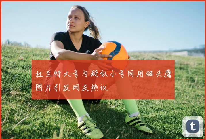 杜兰特大号与疑似小号同用猫头鹰图片引发网友热议