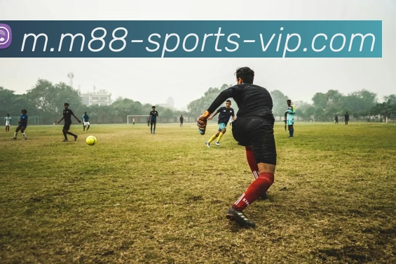 App Interface Preview